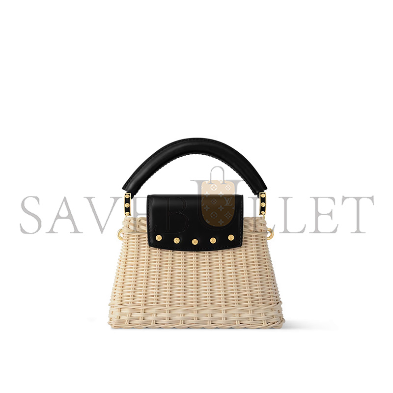 LOUIS VUITTON MASTER CAPUCINES MINI M26003 (21*14*8cm)